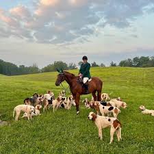Image result for Haydock Hunters Speedminton Club