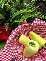 Afbeeldingsresultaat voor hungarian sweet white sweet pepper