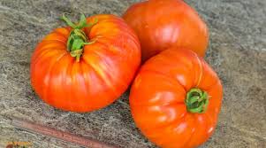 Afbeeldingsresultaat voor belarus orange tomato