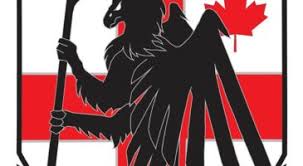 Image result for Ealing Eagles Ball Hockey Club