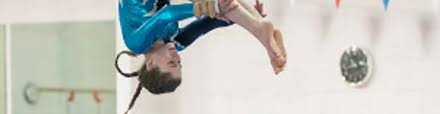 Image result for Wantage Gymnastics Club