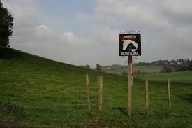 Image result for Beechwood Riding School