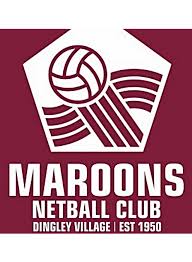 Image result for Newdigate Netball Club