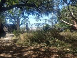 Kuvahaun tulos haulle tepoztla