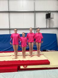 Image result for Cardiff Olympic Gymnastics Club