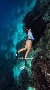 Image result for Crystal Freedivers (London)