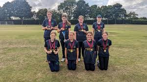 Image result for Ickwell Cricket Club