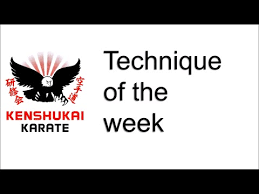 Image result for Kenshukai Karate