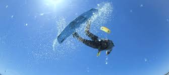 Image result for Mobius Flix Trick & Freestyle Kite Club