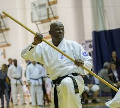 Image result for Aylesbury Vale Seido Karate