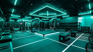 Image result for Hamiltons Fitness Centre, Colchester, Essex