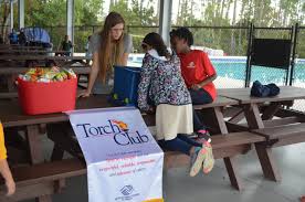 Image result for Balcombe Stoolball Club