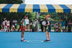 Image result for Sports Centre Netball