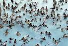 US Weather: Record high temperatures smashed across the U.S. as ...