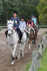 Image result for The Riding Centre