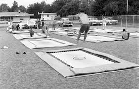 Image result for Fish trampoline and gymnastics club