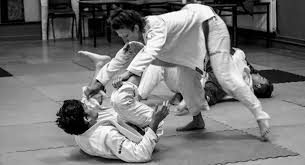 Image result for Derwent Jujitsu Academies