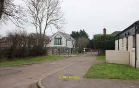 Image result for Loughton Cricket Club