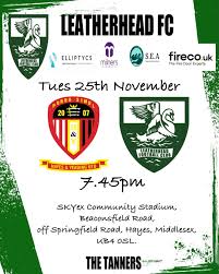 Image result for Leatherhead Football Club