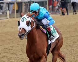 Image result for horse girl gun