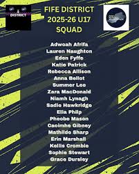 Image result for Fife Phantoms Netball Club