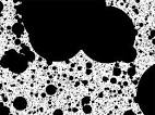 <b>Trema</b> Disc is a fractal