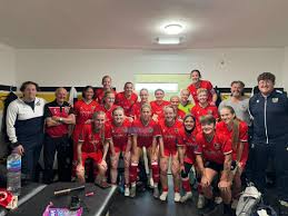 Image result for Woodley Saints Ladies FC