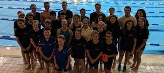 Image result for Kingsbridge Kingfishers Swimming Club