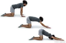 Image result for Kb Yoga