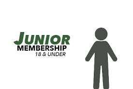 Image result for Dundee Juniors