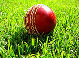 Image result for Albrighton Cricket Club