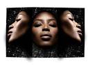 Visionaire 55 SURPRISE