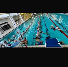 Image result for Ledbury & District Amateur Swimming Club