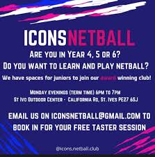 Image result for Icons Netball Club