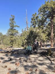 Image result for Reading Mountaineering Club