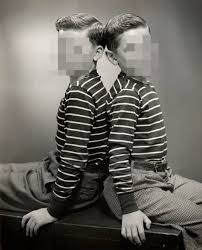 Attēlu rezultāti vaicājumam “Diderma testaceum young”