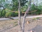 Redoak Flatbow