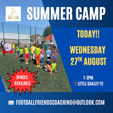 Image result for Ockley Acorns Junior F C