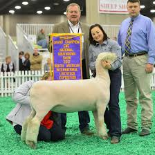 Image result for Southdown Club