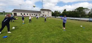 Image result for Tullylish Gac