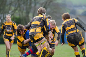 Image result for Totnes Rugby Club