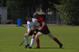 Image result for Lochcarron Camanachd