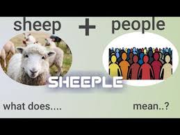 Image result for sheeple