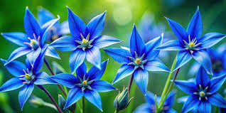 Image result for Enzian