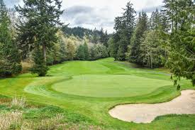 Image result for Bellingham Golf Club