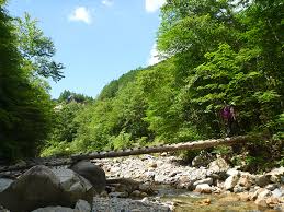 Attēlu rezultāti vaicājumam “Ena montana”