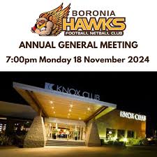 Image result for Normanton Falcons Netball Club