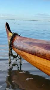 Image result for University Of Hull Canoe Club