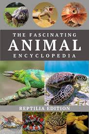 Attēlu rezultāti vaicājumam “Reptilia”