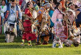 Image result for tribe